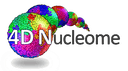 4DN