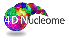 4DN