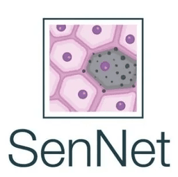 SenNet